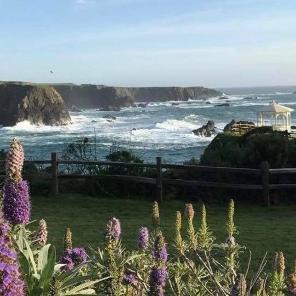 Meet your Posher, Beth - Picture 1 of 1